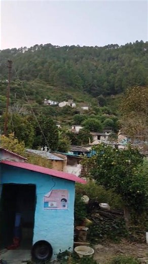 gaon #culture#pahadi#shorts#viralshorts#shorts#गड़वाली#पहाड़ी#uttrakhand#ytshorts#fyp