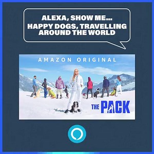28K views | The best cast we've ever put together : The Pack | Amazon Prime Video | Facebook