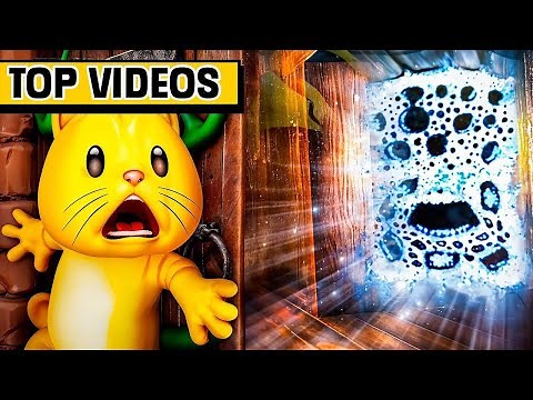 Most Intense ROBLOX DOORS Runs! | Thinknoodles