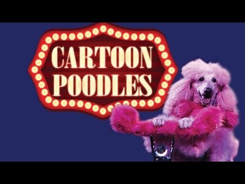 Cartoon Poodles: America's Favorite Poodle Show 2013