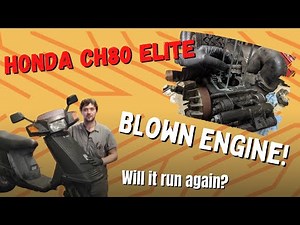 This Honda Elite 80 (CH80) has a blown engine engine - Can we save it?