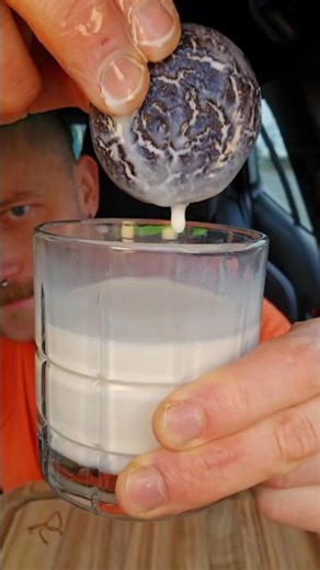 I Dunked Oreo Cakesters In Milk