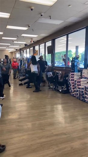 Dog foood in da air! | Knockout videos