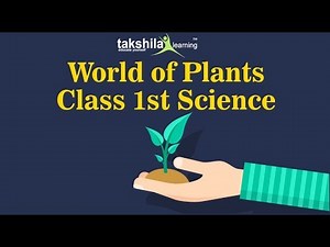CBSE Class 1 Science : World of Plants | Animated Videos for Kids | NCERT Solutions | Worksheets