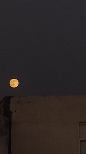 vaishali🫧 | Udaarian Cover song🥀✨ .... . . ( Udaarian , Cover song , trending, viral, song , music , ukulele, punjabi song , lyrics , edit , love ,... | Instagram