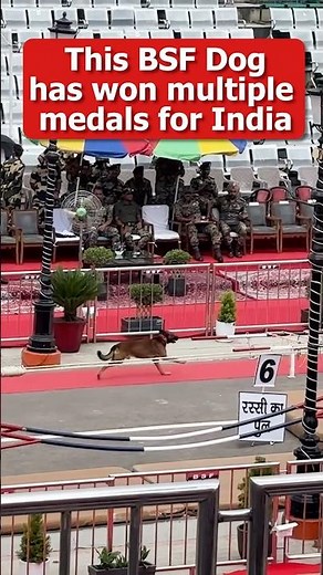 🇮🇳 BSF Dog Obstacle Course at Wagah Border | High Speed Training at Attari Border #Shorts