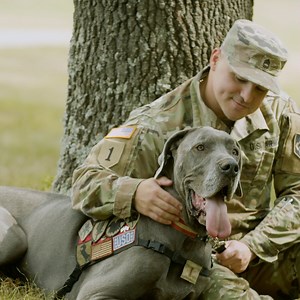 Sunday at 1PM ET/PT, don’t miss the Hero Dog Awards, presented by American Humane. Join us for the event that sheds the spotlight on our four-legged heroes, nominated for performing extraordinary acts. | A&E