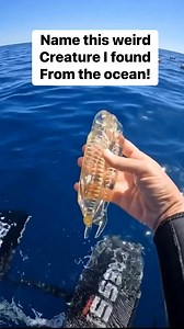 16K views · 22 reactions | What are your thoughts on this | Riddles Only | Facebook