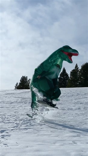 Are T-Rex’s cold-climate creatures? #aoracing #snowboarding #bigsky
