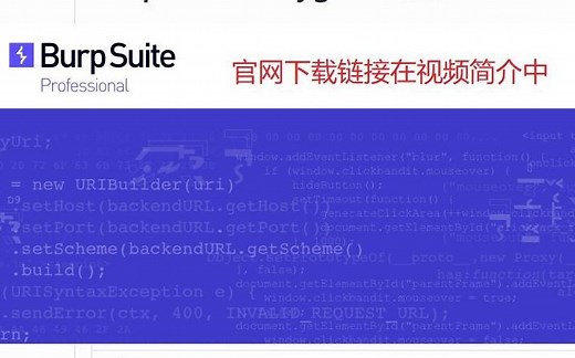 【官网下载】Burp Suite专业版的下载、安装、激活