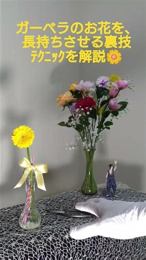 🌼「ガーベラのお花を、長持ちさせる裏技ﾃｸﾆｯｸを解説」#お花のある暮らし #お花のある生活 #お花 #花 #フラワー
