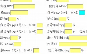 脑科EpiData取栓数据如何录入