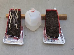 Explore Soil Erosion and See What a Plant Can Do. | STEM Activity