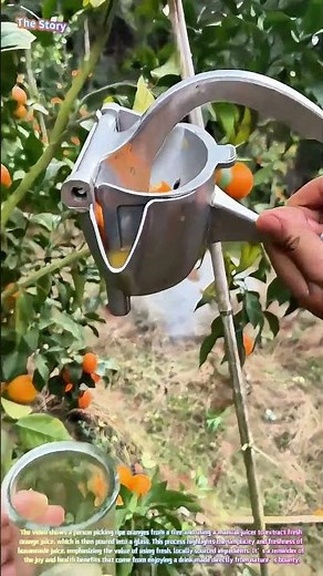 Harvesting Sunshine: How Freshly Squeezed Orange Juice Brings Nature's Best to Your Glass