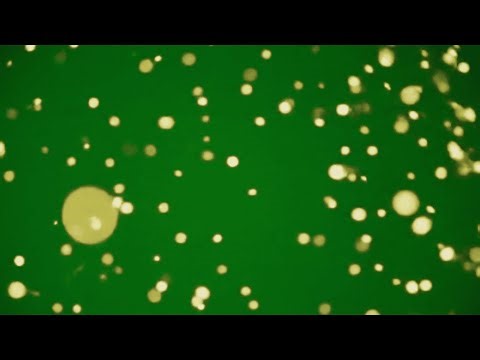 Particles Green Screen Effect (FREE)