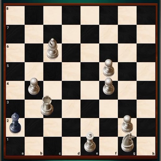 Human vs computer who will win (Chess YT)