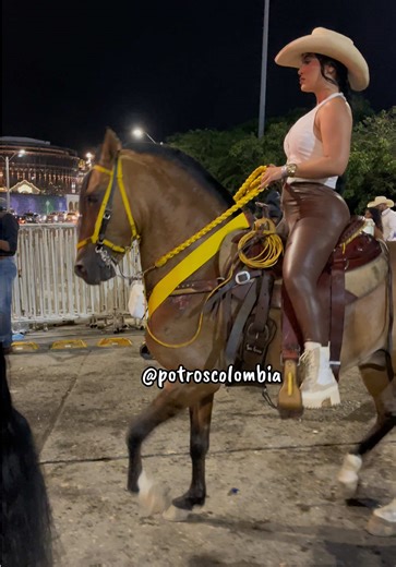 Qué color es…. El caballo 🐴🇨🇴✅ #potroscolombia #garridoagropecuario #caballos #influencerequino #caballista