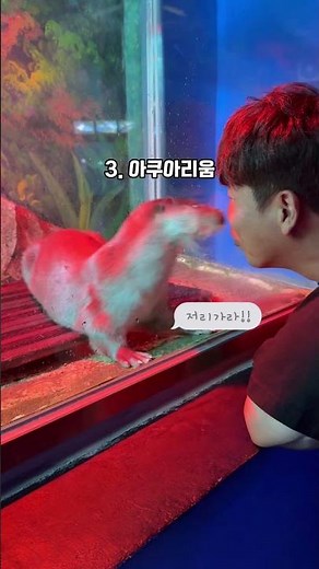 울진여행 가볼만한곳 성류굴 울진해양과학관 하트해변 아쿠아리움 스카이레일 케이블카 왕피천공원