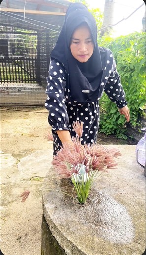 4M views · 125K reactions | How to take creative low-angle perspective videos ✨. Place a large blade of grass near the camera and let it stand still. With a wide-angle lens, both the subject and the leaves remain in focus, making it look like a giant blade of grass towering high into the sky. #mobilephotography #mobilevideoediting | Sakila | Facebook