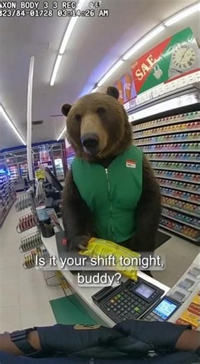 POLICE BODYCAM: Grizzly Bear Takes Over 7-Eleven Night Shift ( #sora AI Video)
