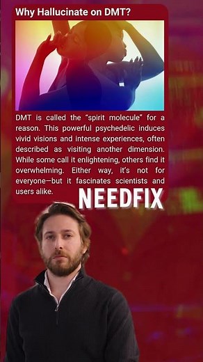 DMT: The SPIRIT Molecule EXPLAINED
