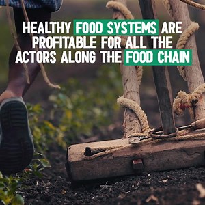 Think about what you ate today 🥐🍏🥗🥪 Where did your food come from? In simple terms, #FoodSystems are the paths that food travels from production to plate.🎦👇 #UNFSS2023 | World Food Programme