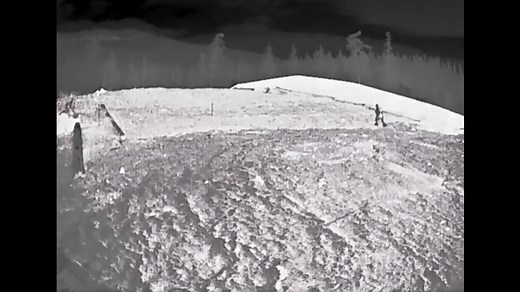 Bigfoot spotted in Washington — again, state officials say. And this time there’s video