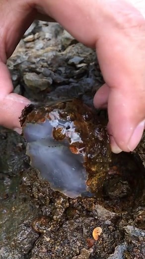 969K views · 11K reactions | Finding Agate stone | Blue Light Gemstones | Facebook