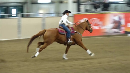 3 fast times from Friday's first performance | Xtreme Barrel Race