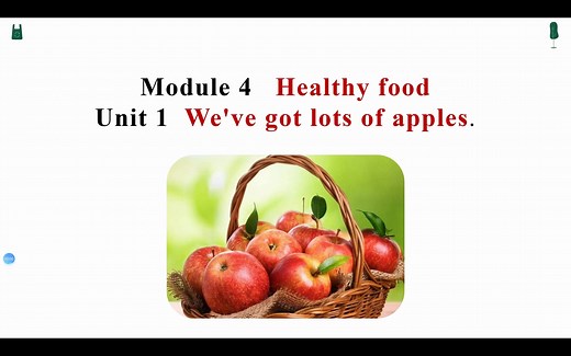 外研版七上Module4 Unit1 全英无生试讲 公开课试讲