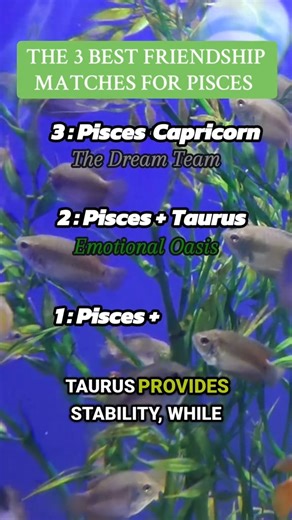 The 3 best friendship matches for psices zodiac sign #zodiac #pisces #astrology #zodiacsigns #pisces♓️ | Zodiac Magic