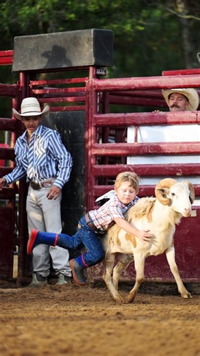 MUTTON BUSTING VIDEOS 🐏⬇️ Now available for purchase! If you'd like a video of your Mutton Buster, please reach out to becky@calicoandchrome.com with: 1️⃣ your child's name 2️⃣ what night they rode 3️⃣ their draw number. You can either get the raw clip of their ride or a finished reel like you see here with special effects and music of your choice. What a perfect keepsake from a fun event! We are steady working on getting all the photos up from the rodeo! They'll be up soon. You can still go an