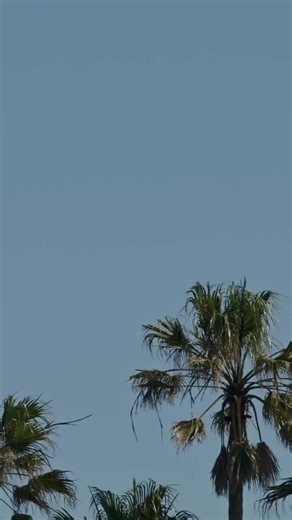 Ark Swimwear MODEL SEARCH 2023. We’re coming to BONDI BEACH, Sydney, Australia. Tag a friend you think should come along! We’d love to see you there for the Model Search casting, or hanging out for the activities, installations and giveaways. Date - 15th JAN 2023. We’ve had such an incredible year on a number of campaign shoots with our 2021 Model Search Finalists, and Model Search Winner @mashabasman. We’ve loved every minute with this team, and couldn’t be prouder to watch Masha on this journe