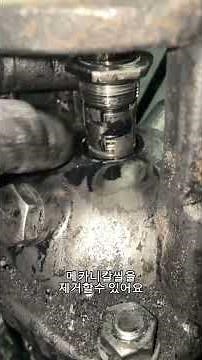 정제기 입형다단펌프 메카니칼씰 교체