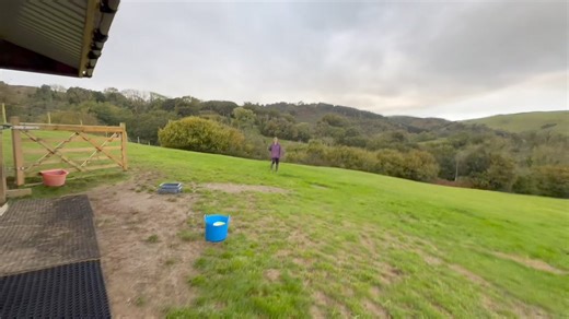 7.4K views · 325 reactions | Visiting Julie’s alpacas | Mullacott Alpacas | Facebook