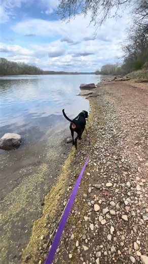 Barney: Water Walks
