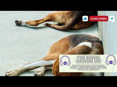 Gentle Sleeping Sounds for Restful Relaxation