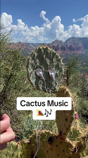 Let’s listen to a nopal cactus with a PlantWave plant music device