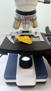 1.1M views · 5.4K reactions | Doritos under microscope  #experiment #science #microscope | RHCB Experiments | Facebook