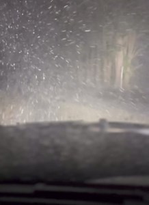 ❄️ The snow is arriving across the Central Tablelands this evening as seen here at Shooters Hill, south of Oberon. Falls are also occurring in the Oberon township. If you are travelling in this area, take extra care and drive to the conditions. Be sure to share your snow snaps with us below! ▪️Be alerted to severe weather and more by downloading the NSW Incident Alerts App - https://apple.co/39Y5tW2 📸: Justin Dolbel | NSW Incident Alerts