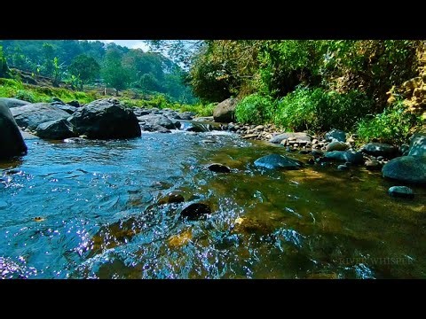 RELAXING SOUNDS FOR SLEEPING | BEAUTIFUL STREAM AND FOREST RIVER FOR DEEP SLEEP & RELAXATION #113