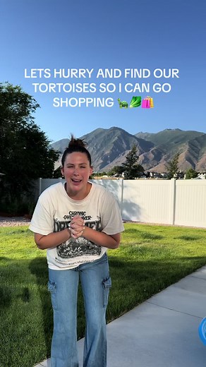Tortoise Hunt for a Busy Day: Find All Alcotta Tortoises!