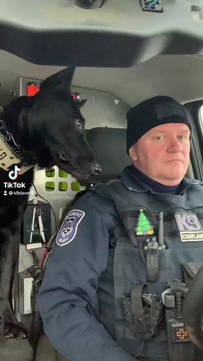 Be right back… #k9shiloh #michigan