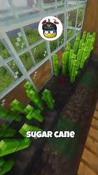 Minecraft Sugarcane Farm 🌿 | Bedrock/Java #minecraft #minecrafttutorial #gaming #tutorial