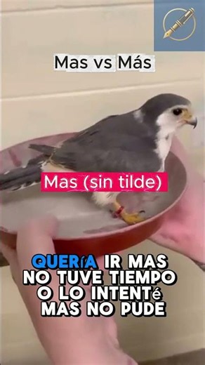 ¿"Mas" o "más"? El acento que cambia todo y que casi nadie usa bien | Ortografía de Bolsillo