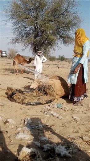 جمال وإينا فخاري في الصحراء