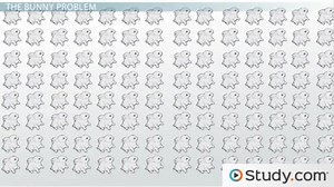 Polynomial Functions: Exponentials and Simplifying - Video | Study.com
