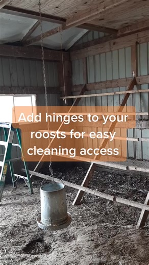 Streamlining Chicken Chores: Hinge Up for Easy Cleaning!