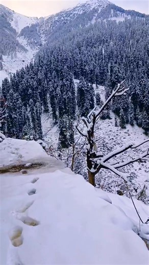 118K views · 11K reactions | Beautiful view  | Nature Of Mountain | Facebook