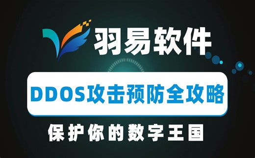 保护你的数字王国：DDoS攻击预防全攻略